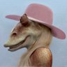 Lapy / Площадь's profile picture