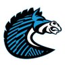 BS+COMPETITION's profile picture