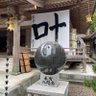 八岐蛇 的头像