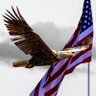 Liberty Rod1776's profile picture