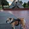 Rolo's Pop's profile picture