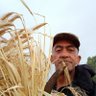 tayeb medkour's profile picture