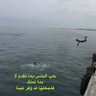 Фото профиля حب لنفسك ولغيرك