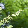 Фото профиля ろはす(頑張っている皆さんを応援したい)