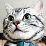 mineo.s's profile picture