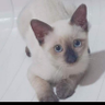 nor mohamad al-rajhi's profile picture