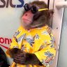 Elbca's profile picture