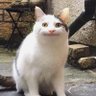 Gordon's profile picture