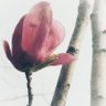 边角料sun jin profil fotoğrafı