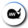 MegaWhale Crypto's profile picture
