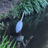 とみー1306 的头像