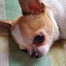 mcu楽しすぎyu-bon's profile picture