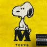 ミント 的头像