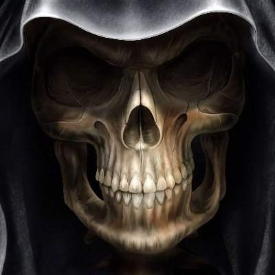 GODOFPARADOXES's profile picture