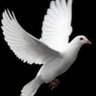 ONG PEACE DEEP AND CITIZEN DEVELOPMENT's profile picture