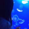 のらଳ海月🪼's profile picture
