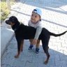 OCAK profil fotoğrafı