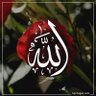Фото профиля Dr Shajeela