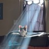 Фото профиля dieknowmight