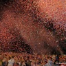 Profilbild von The Confetti Company