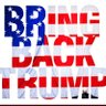Patriot woman's profile picture