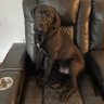 guy profil fotoğrafı