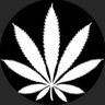 ATG🕸🌴🍁 的头像