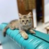 chloe123 profil fotoğrafı