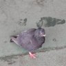 Profilbild von ななみ