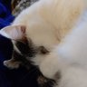3さん 的头像