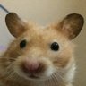 mrlava's profile picture