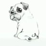 Profilbild von WDF