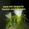 Фото профиля I stand with Ukraine
