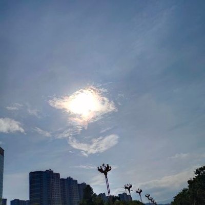 光顾着忙's profile picture