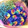 Фото профиля Rainbow Rose