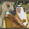 موفق الروقي 的头像