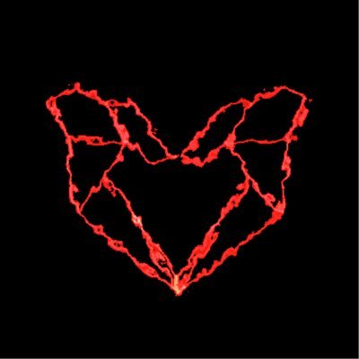Monarch's profile picture