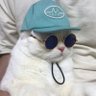 Szoboszlai Ole Kisinji😎's profile picture