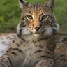 Фото профиля Gary Fleming