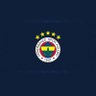 FENERBAHÇE1907💙💛⭐️⭐️⭐️⭐️⭐️'s profile picture