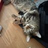 ху# войне. Ваш Хуан's profile picture