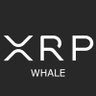 Фото профиля XRP whale