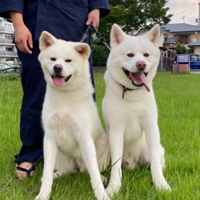 pepe_nana0723's profile picture