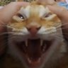 Profilbild von shree
