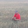 Bayram Kızılay 的头像