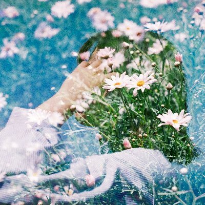 ha_na_yui's profile picture
