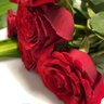 Profilbild von سوزانه🌹
