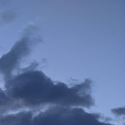 thebulgelover's profile picture