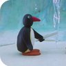 ピンゴン's profile picture