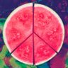 Profilbild von Scott Anderson